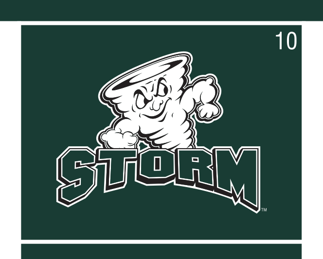 Storm mascot with STORM wordmark, white/gray on green variant, cell 10