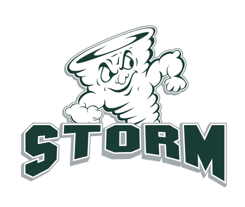 Storm mascot with STORM wordmark, green/white on white variant, cell 11