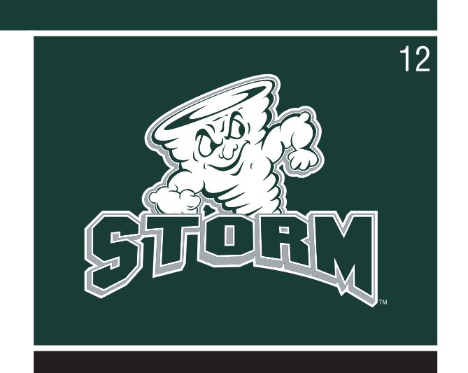 Storm mascot with STORM wordmark, white/green on green variant, cell 12