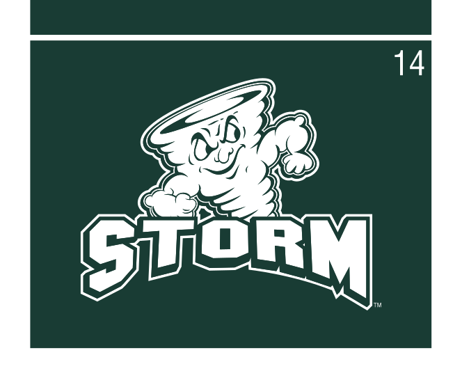 Storm mascot with STORM wordmark, white/green outline on green variant, cell 14