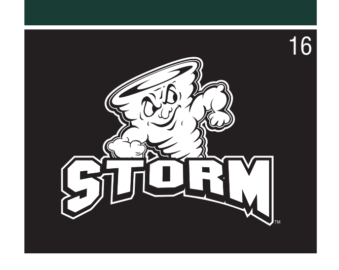 Storm mascot with STORM wordmark, white/black outline on black variant, cell 16