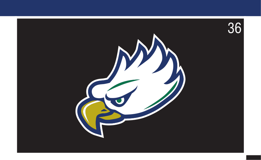 eagle head, full color on black variant, cell 36