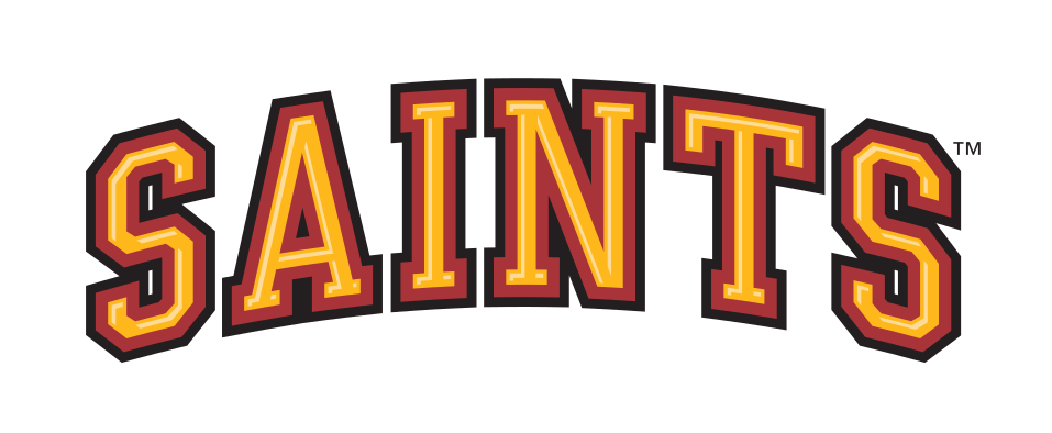 Saints wordmark, color with white stroke variant, cell 16