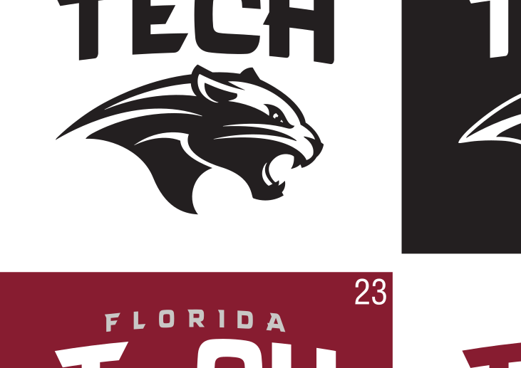 Florida Tech Athletics Logo, black/gray variant, cell 7