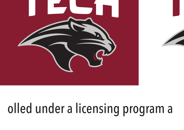 Florida Tech Athletics Logo, black/gray variant, cell 8