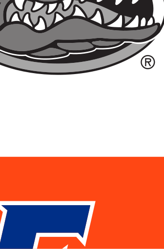 FLORIDA wordmark, orange with white outline on blue variant, cell 13
