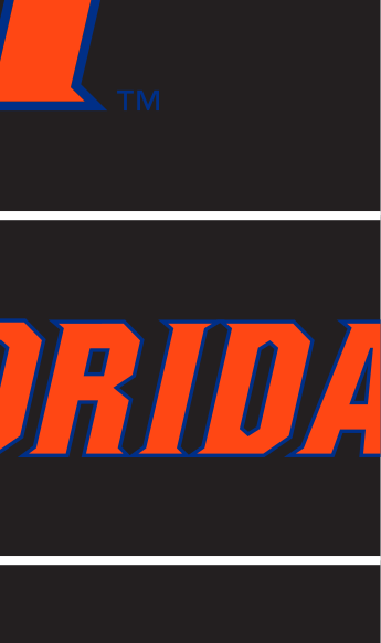 THE SWAMP wordmark, blue with white outline on orange variant, cell 22