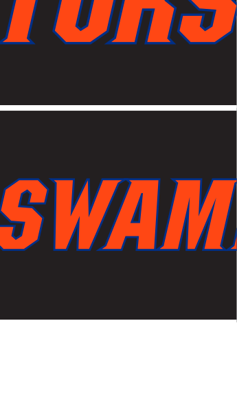 THE SWAMP wordmark, orange with blue outline on black variant, cell 23