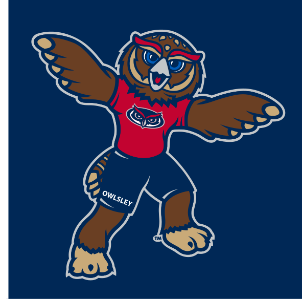 Owlsley mascot, full color on blue variant, cell 58