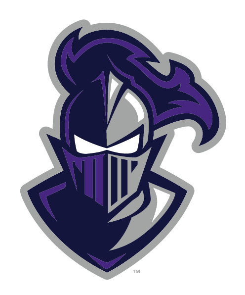 Paladin head, three color variant