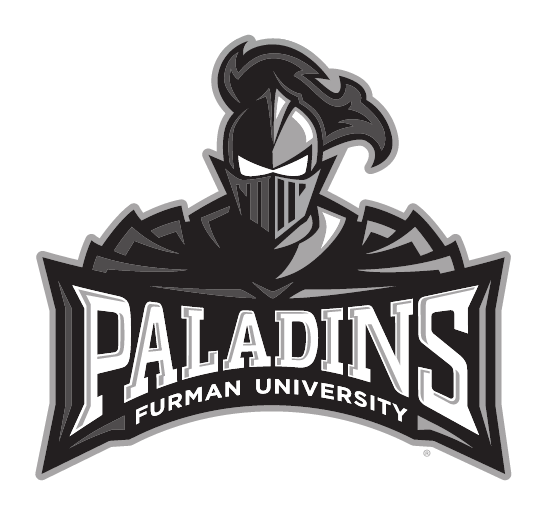 Paladin logo, one color, grayscale variant