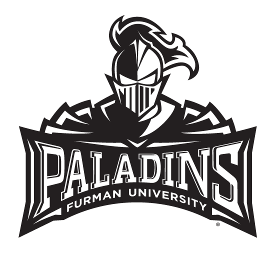 Paladin logo, one color, black variant