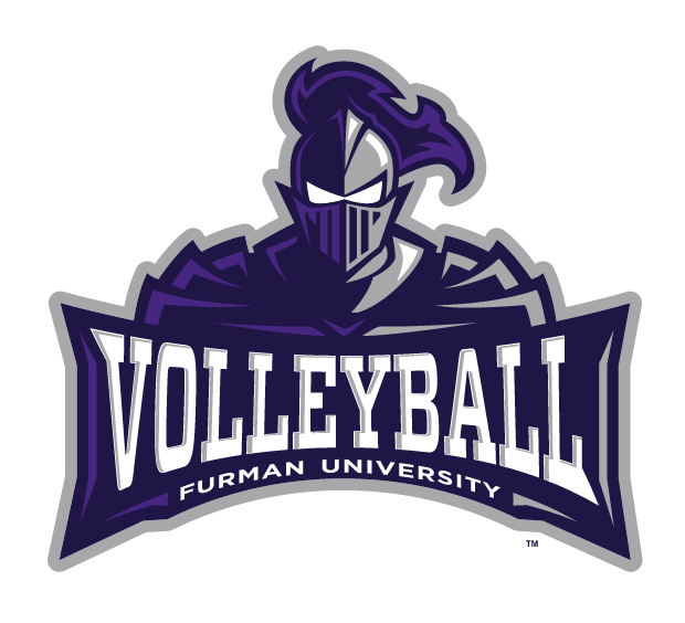 Paladin logo, three color, volleyball variant