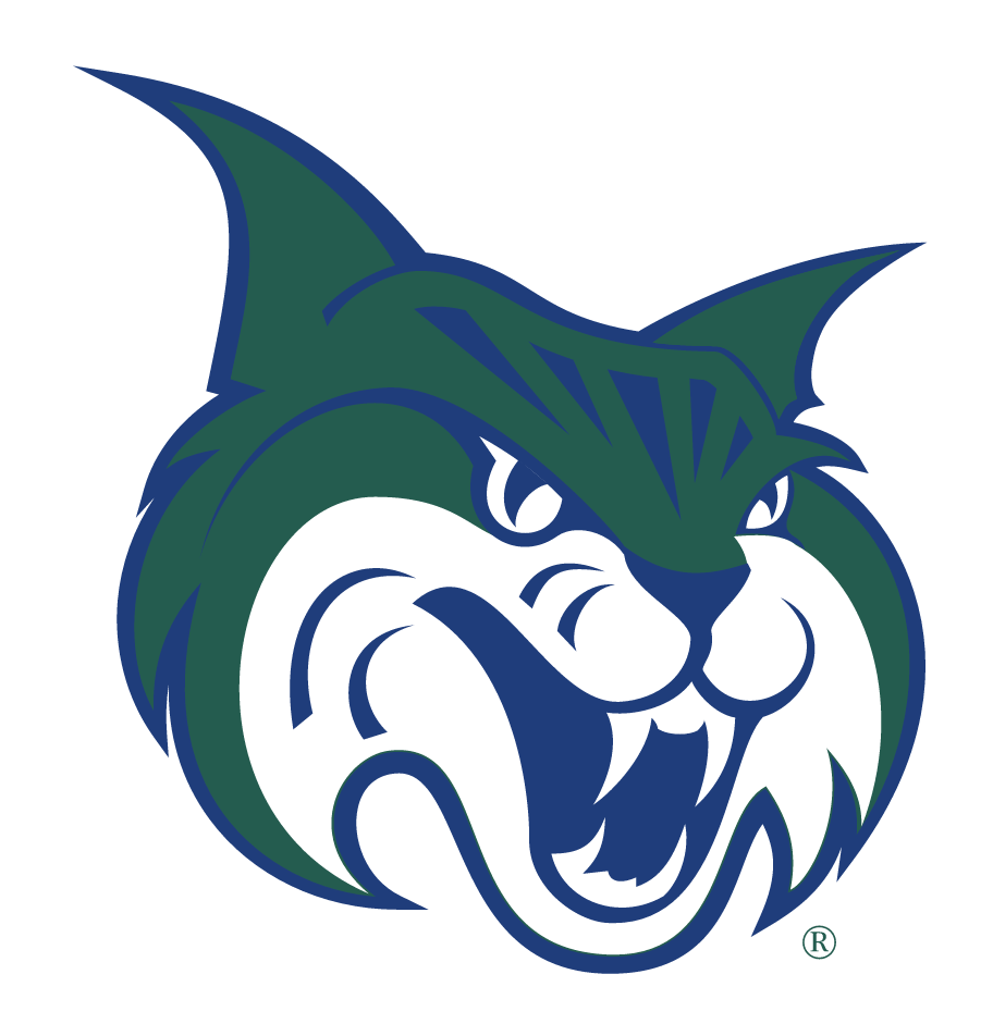 bobcat head, full color variant