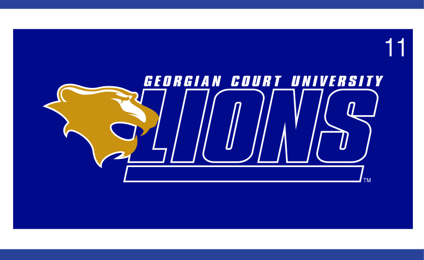 lion head lockup, full color on navy variant, cell 11
