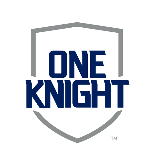 One Knight shield, blue and grey variant, cell 185