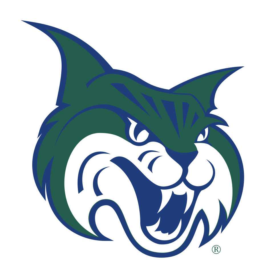 mascot head, standard variant, cell 22