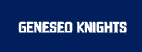 Geneseo Knights wordmark, flat horizontal reverse variant, cell 165