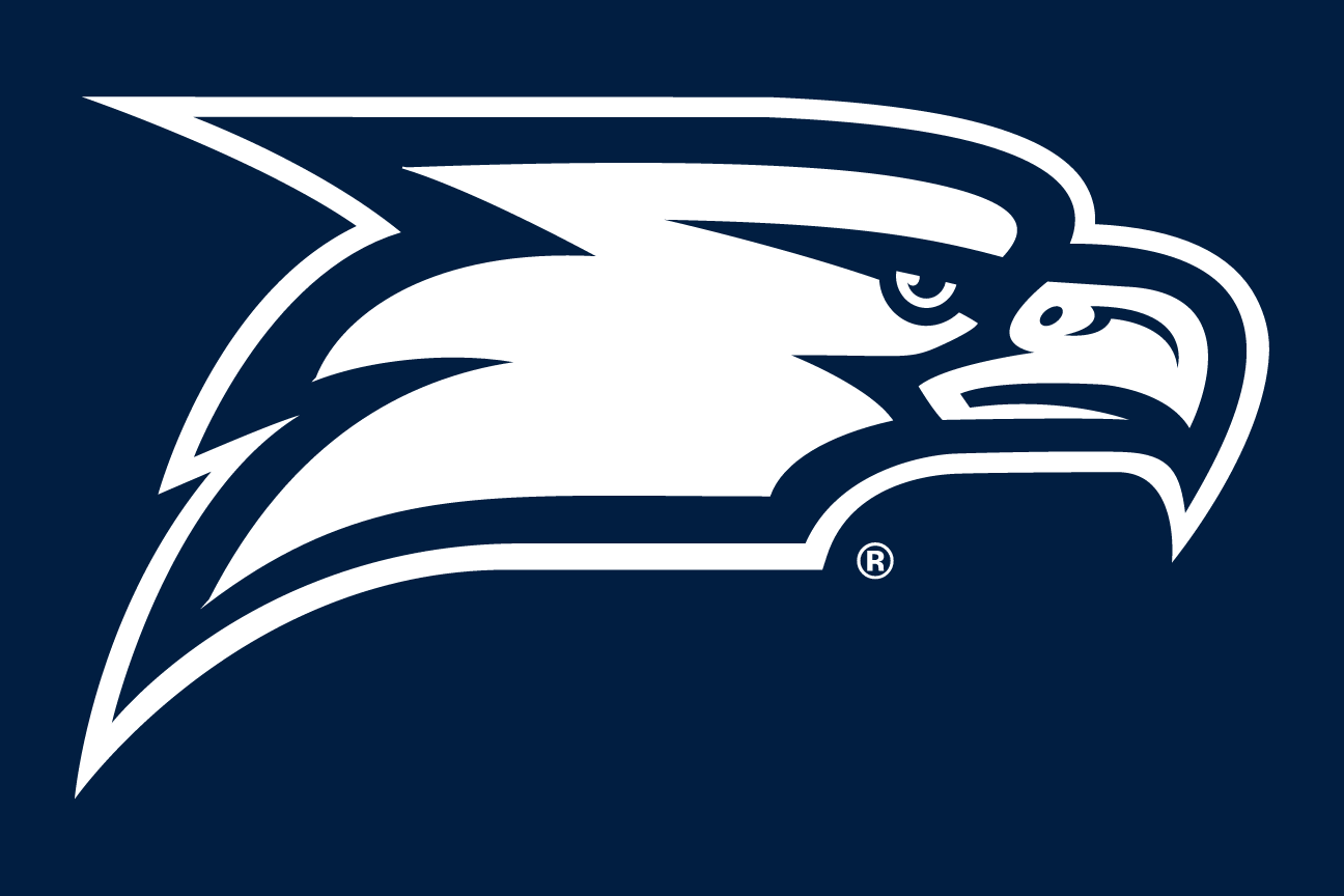eagle head, white on navy variant, cell 29