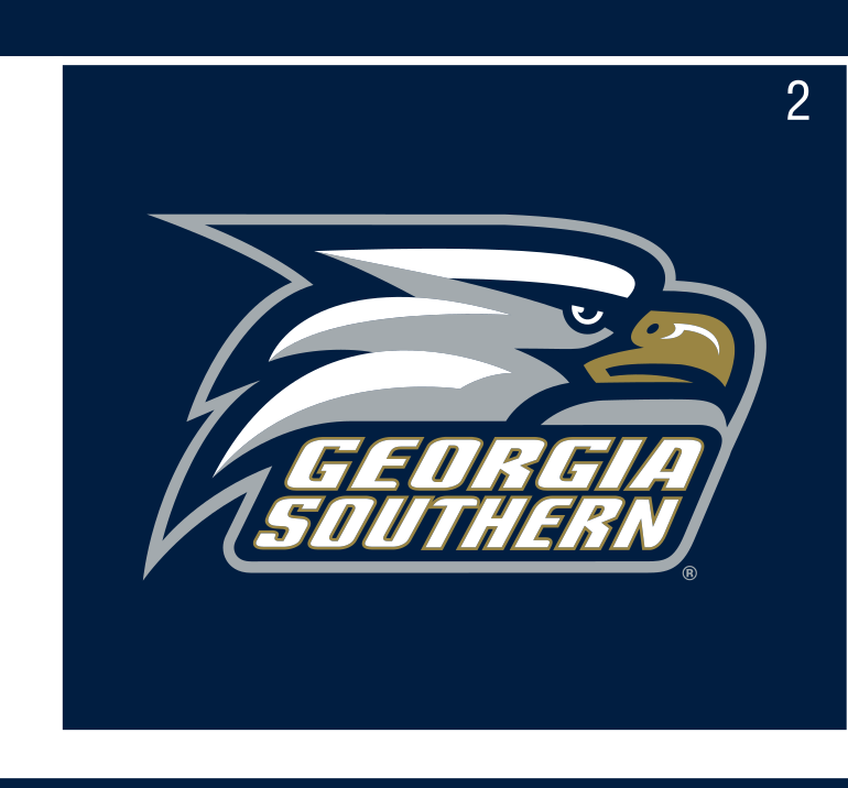 eagle head with wordmark, full color on navy variant, cell 25