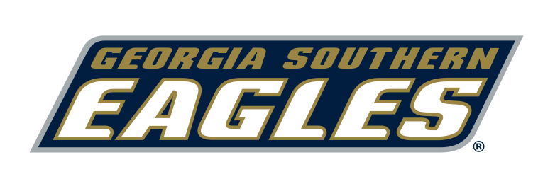 Georgia Southern Eagles wordmark, full color on white variant, cell 41