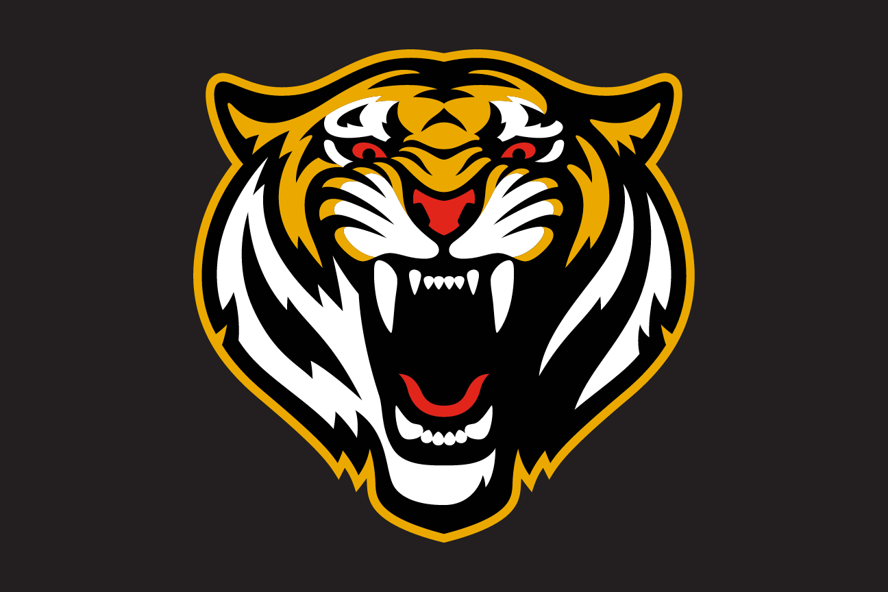 Tiger head, full color on black variant, cell 10