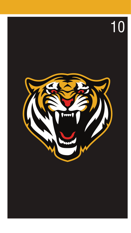 Tiger head, full color on black variant, cell 10