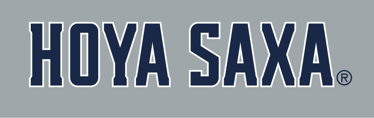 HOYA SAXA wordmark, gray with blue outline on gray variant, cell 26