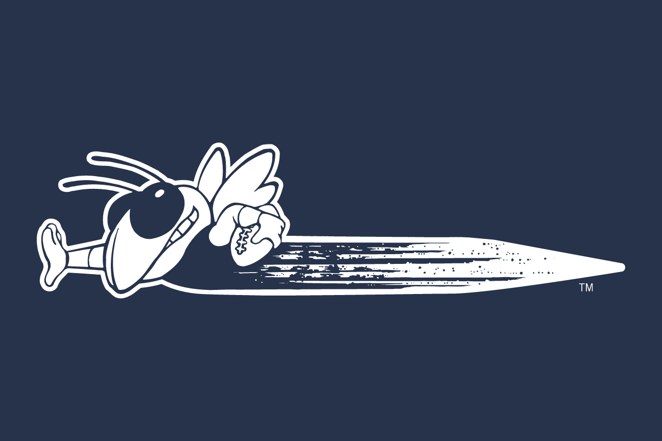 Buzz, flying right horizontal, white outline, navy background variant, cell 167