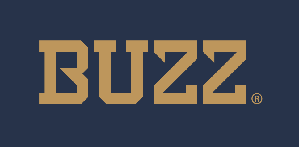 BUZZ wordmark, gold variant, cell 104