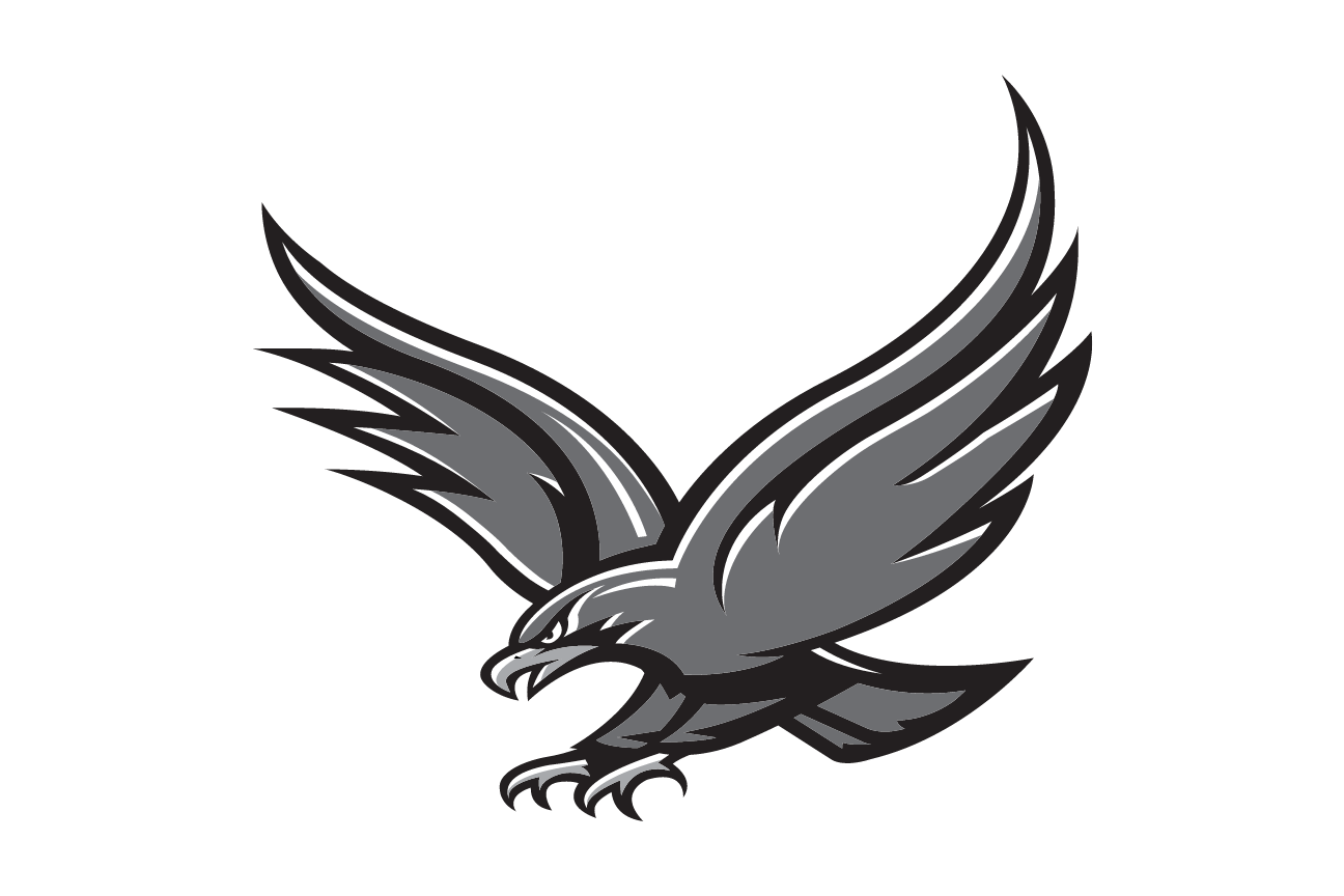 Hawk mascot, full body, black/white variant, cell 22
