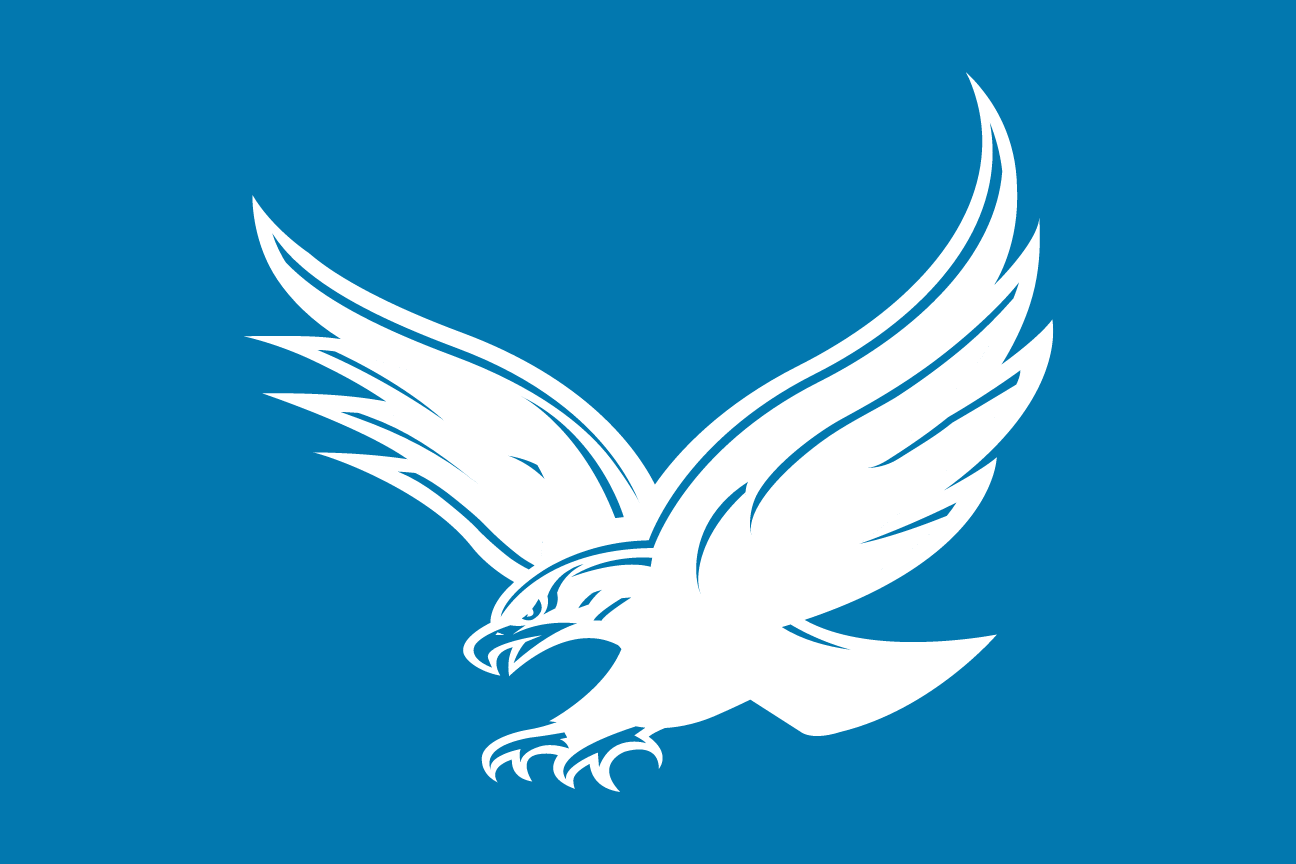 Hawk mascot, full body, white reverse variant, cell 24