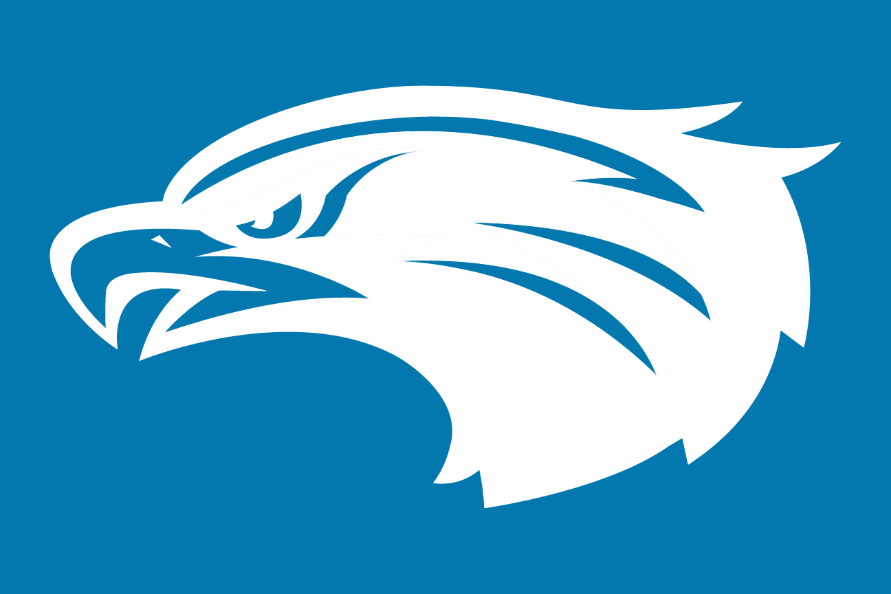 Hawk mascot, head, white reverse variant, cell 25