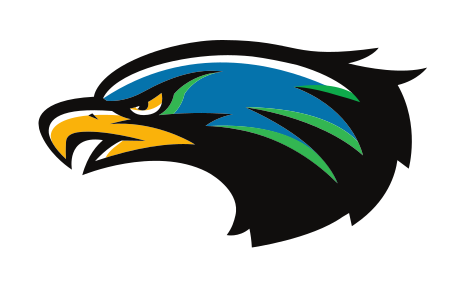 Hawk mascot, head, color variant, cell 17