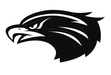Hawk mascot, head, black/grey variant, cell 21