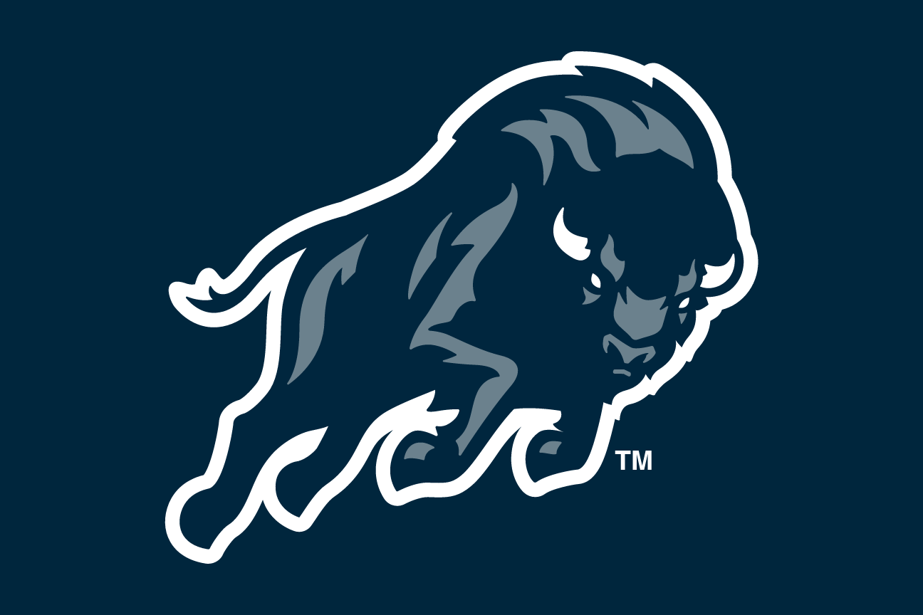 Bison head side view, white on blue variant, cell 9
