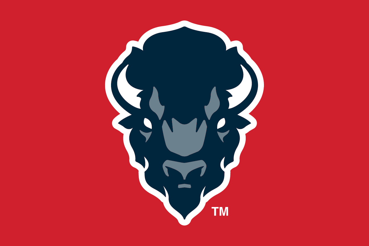 Bison head front view, white on red variant, cell 12