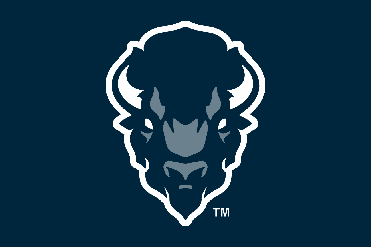 Bison head front view, white on blue variant, cell 13