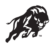 Bison head side view, black variant, cell 10