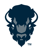 Bison head front view, full color variant, cell 11