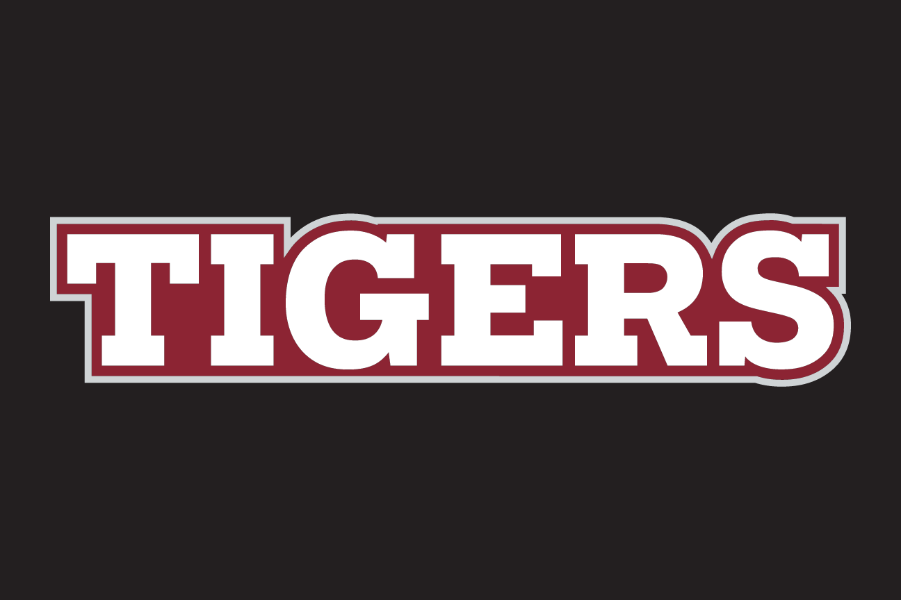 wordmark Tigers, white with garnet outline on grey variant, cell 90