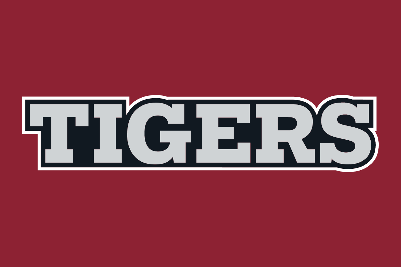 wordmark Tigers, garnet with white outline on grey variant, cell 91