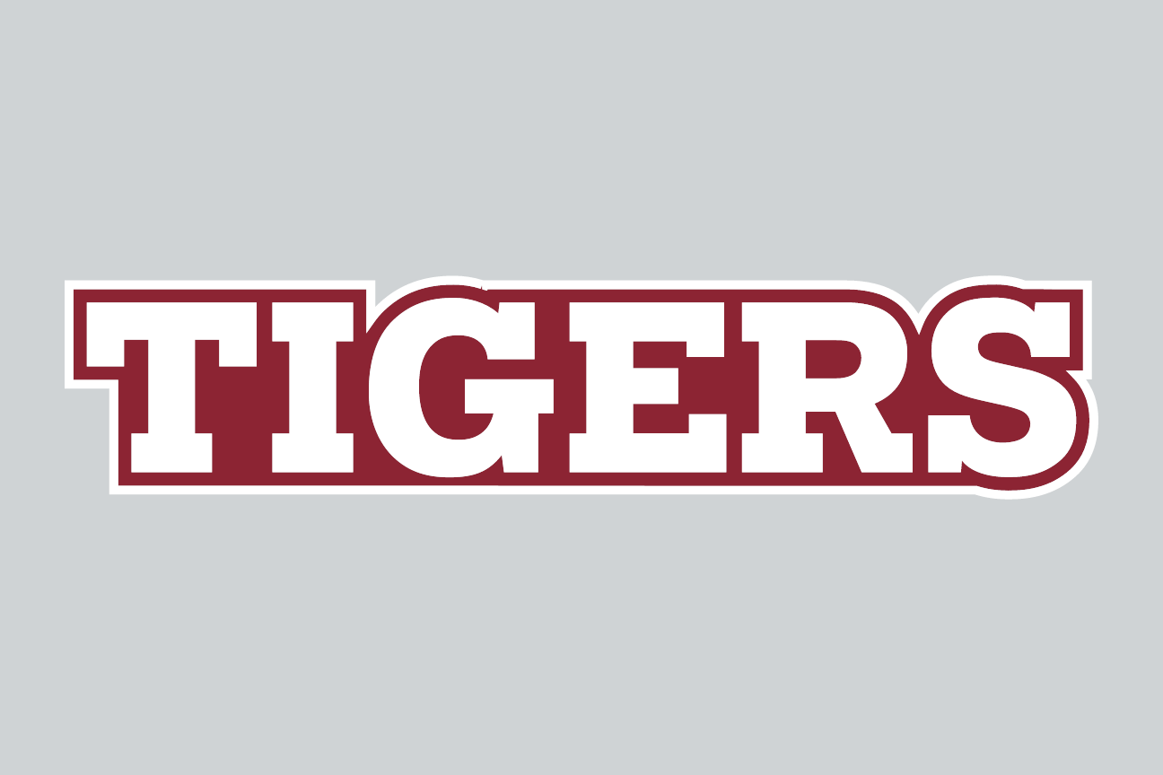 wordmark Tigers, white with garnet outline on white variant, cell 96