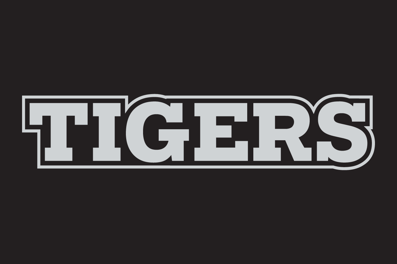 wordmark Tigers, white on grey variant, cell 98