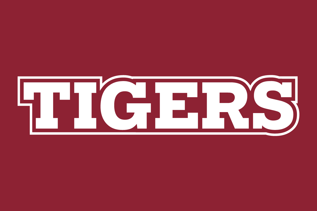 wordmark Tigers, garnet on grey variant, cell 99