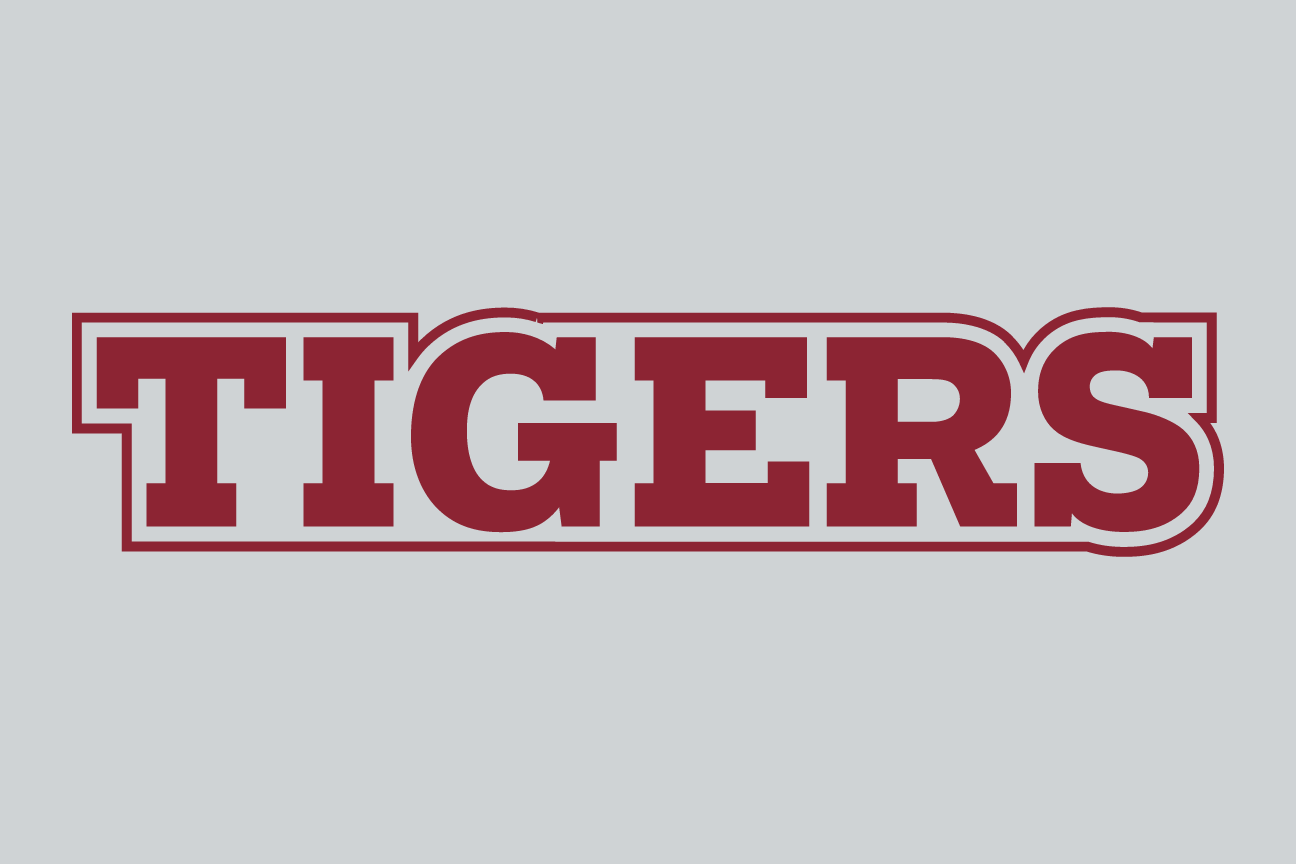 wordmark Tigers, white on white variant, cell 100