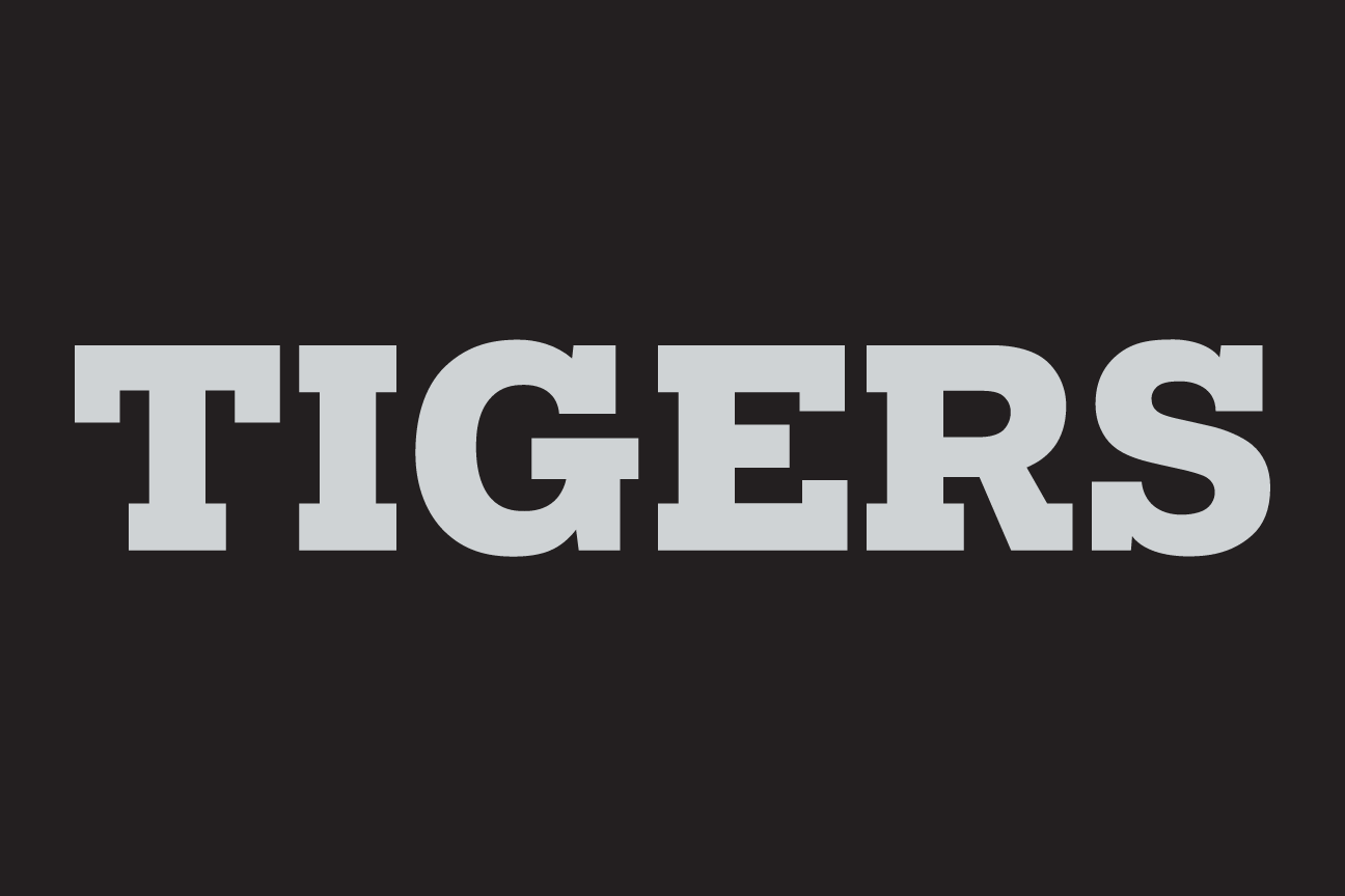 wordmark Tigers, white on grey variant, cell 102