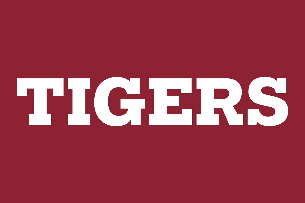 wordmark Tigers, garnet on grey variant, cell 103