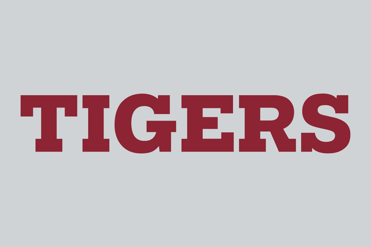 wordmark Tigers, white on white variant, cell 104