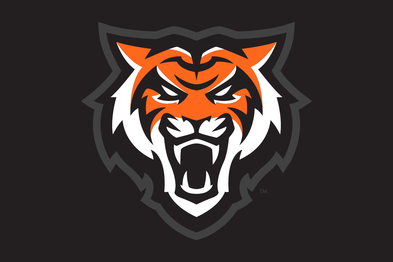 tiger head, Roarange Light, black background variant, cell 5